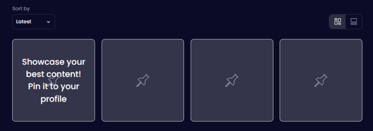 screenshot of redgifs profile with pinned posts. showcase your best content. pin it to your profile