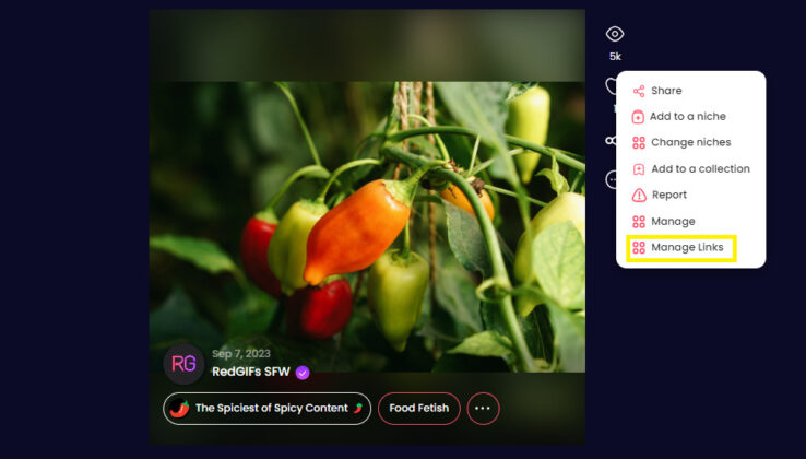 manage links demo on manage page that leads to alias links